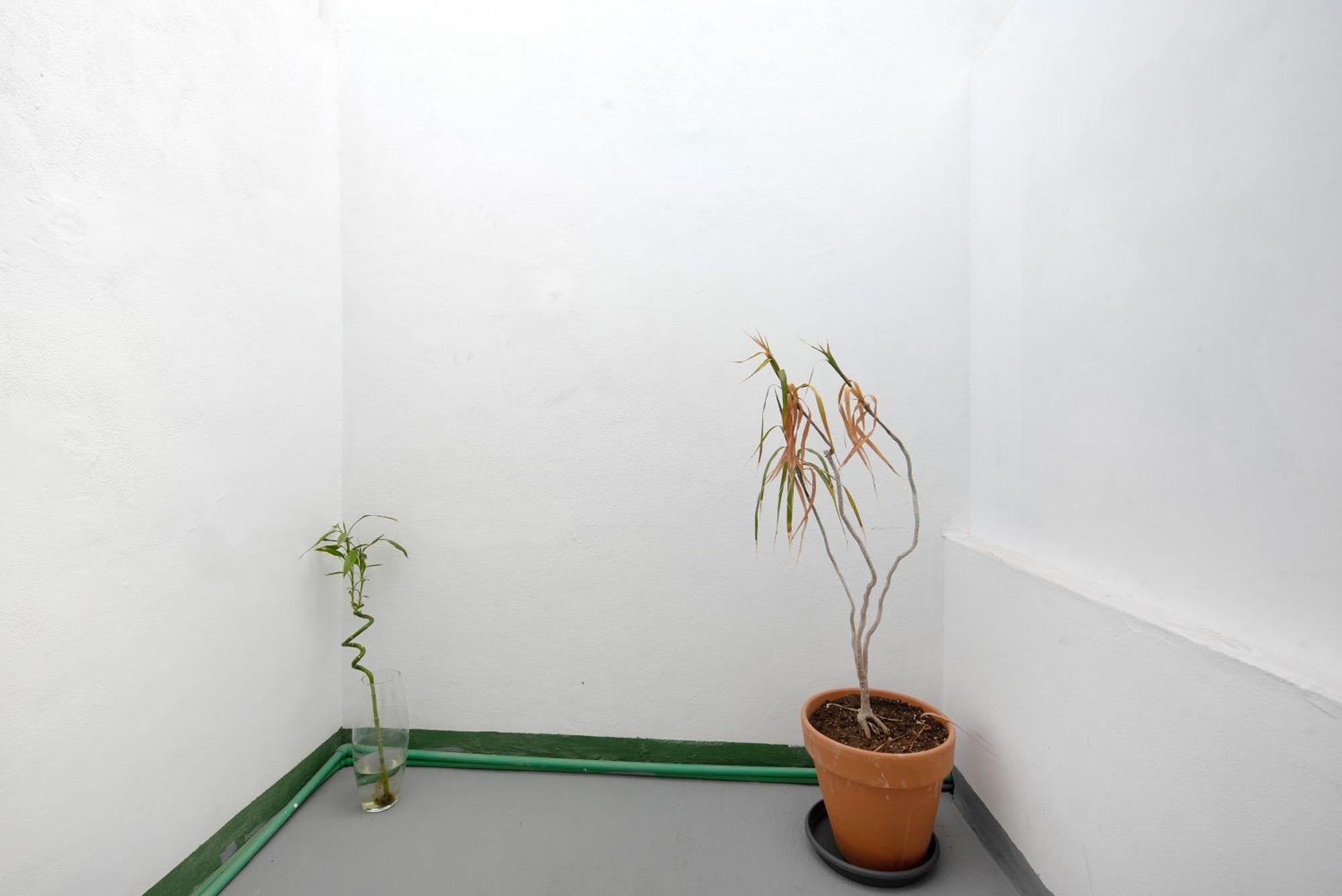 Apartamento Vista La Orotava Exteriér fotografie